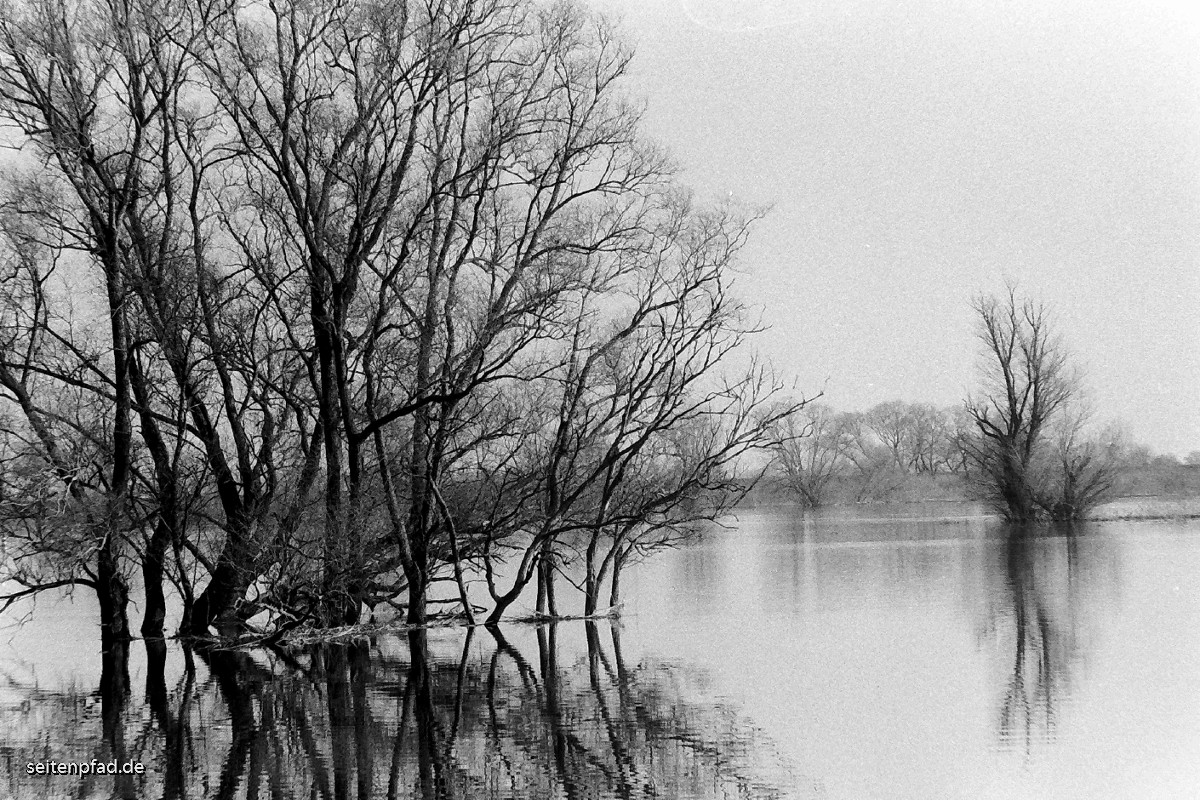 In den Elbwiesen bei Bleckede, Minolta X 700, MD ZOOM 28 - 70 mm, Rotfilter, Fomapan 400 bel. 200, Rodinal 1+40, 9 Min.