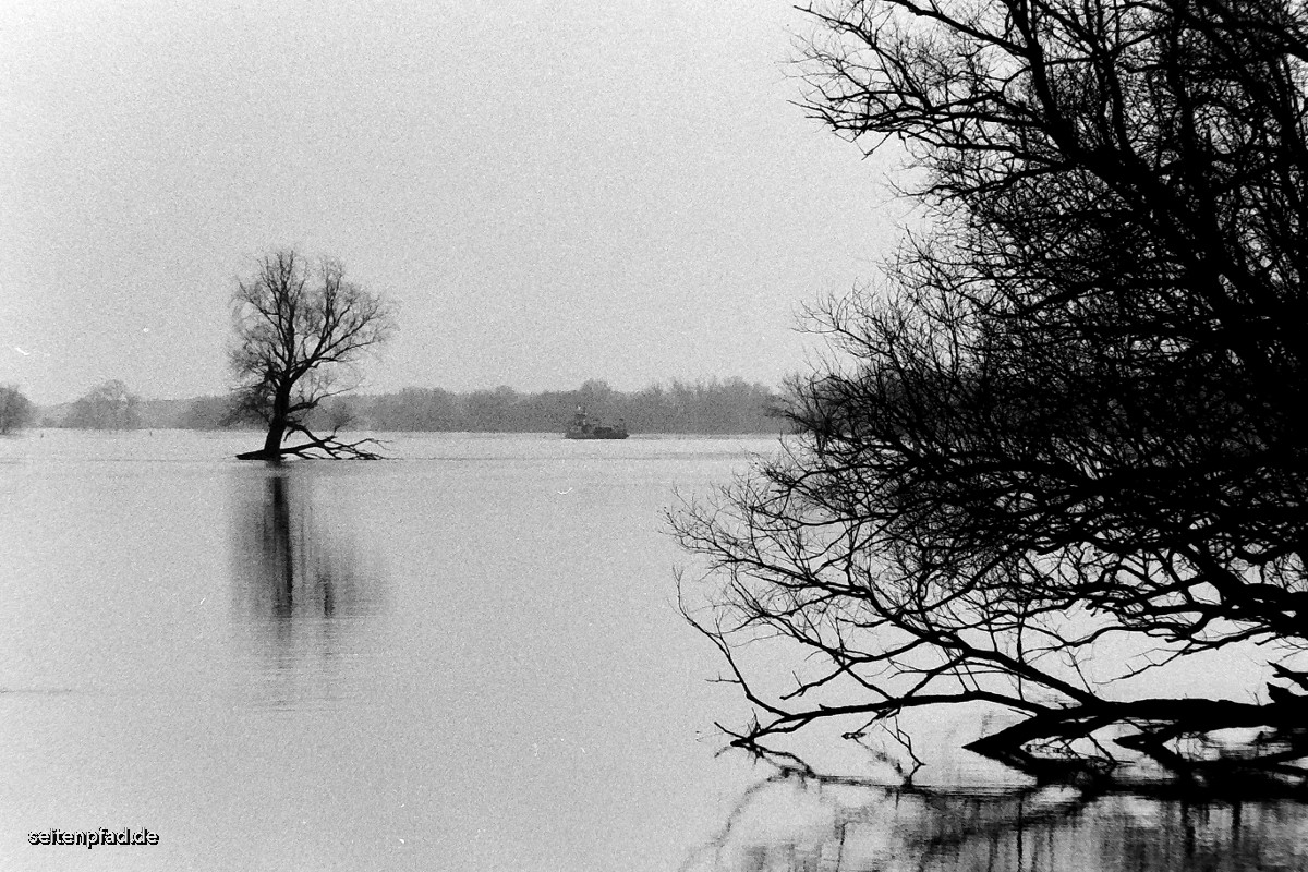 In den Elbwiesen bei Bleckede, Minolta X 700, MD ZOOM 28 - 70 mm, Rotfilter, Fomapan 400 bel. 200, Rodinal 1+40, 9 Min.