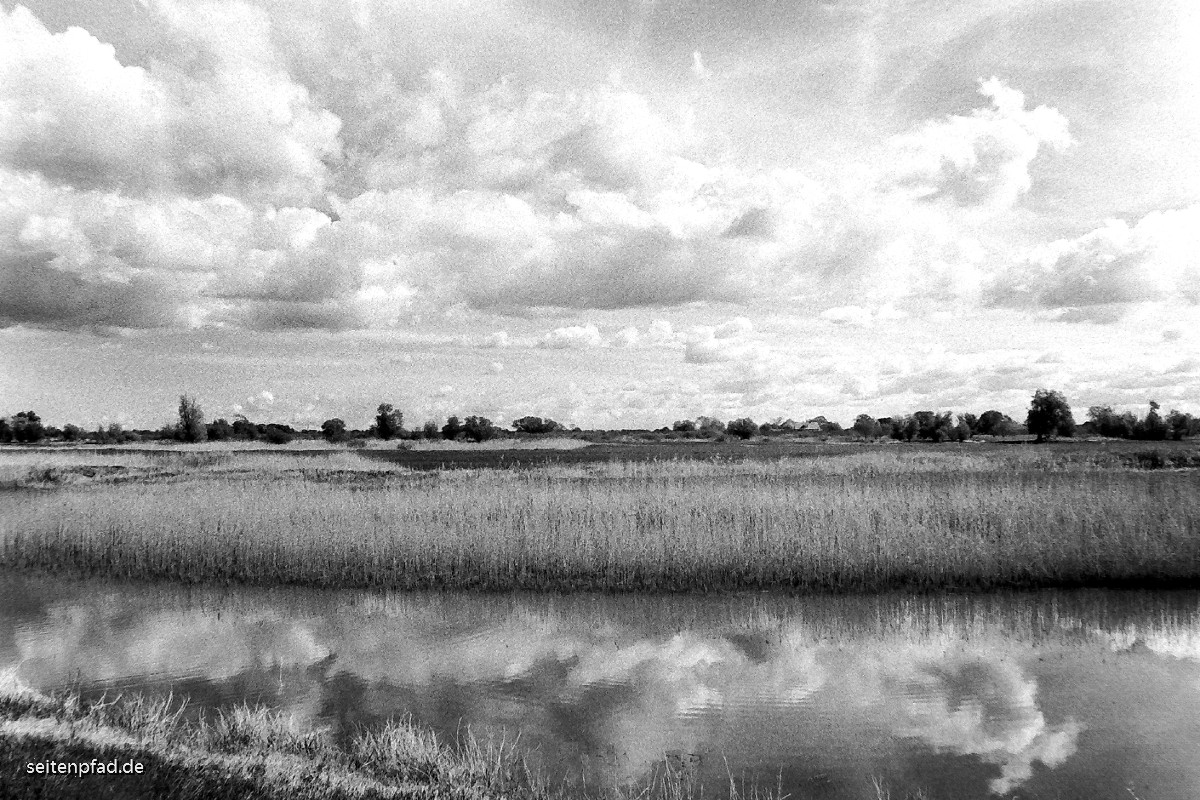 In den Elbwiesen bei Bleckede, Minolta X 700, MD ZOOM 28 - 70 mm, Rotfilter, Fomapan 400 bel. 200, Rodinal 1+40, 9 Min.