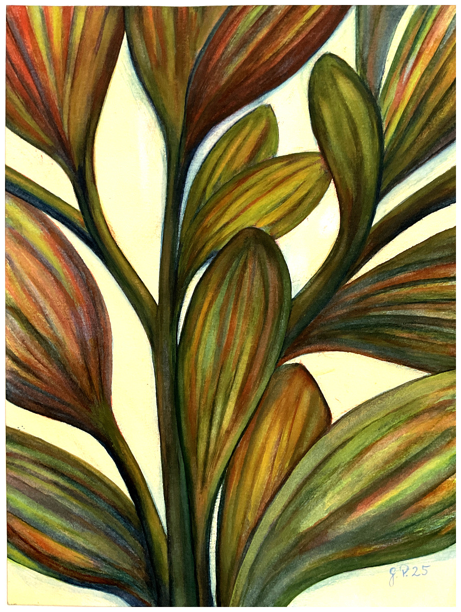 40 cm x 30 cm Hahnemühle Britannia matt 300g/m2