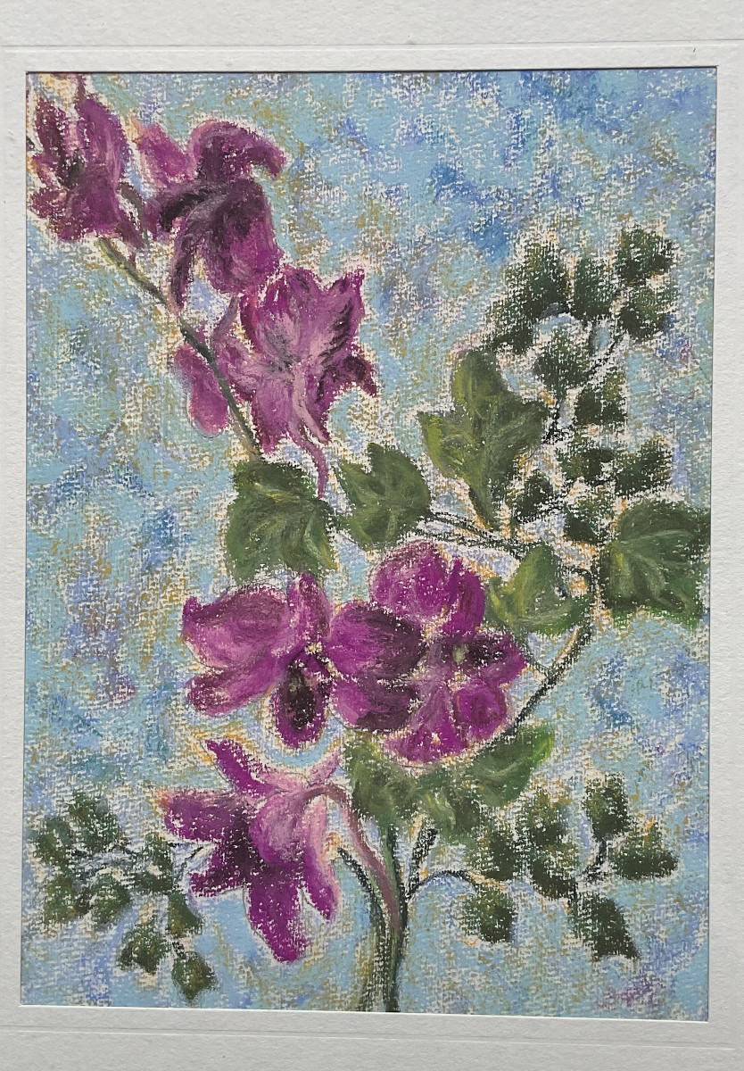 Blüten einer Bougainvillea, Pastell, 22,5 cm x 16,5 cm, 1972