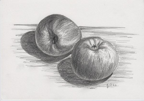 Zwei Äpfel, Zeichnung mit Bleistift 2B DIN A 5