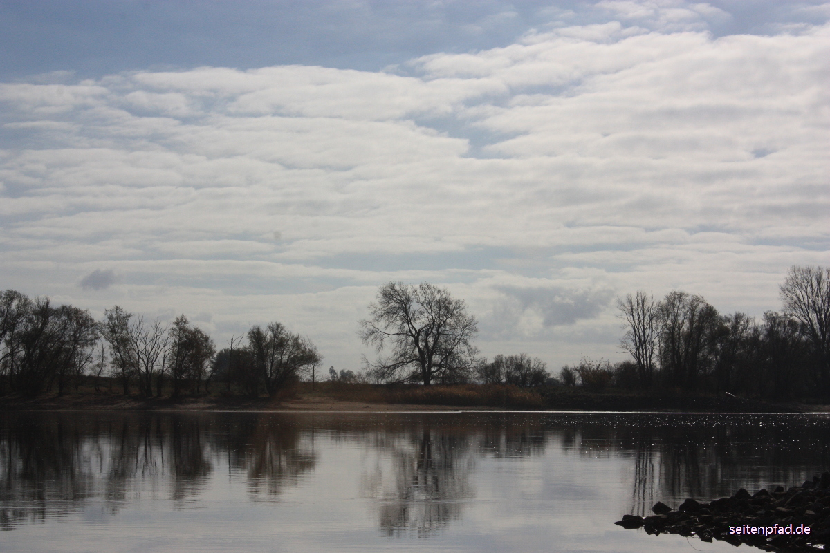 Die Elbe beim Heisterbusch im Gegenlicht